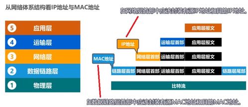 數據鏈路層（下） 核心功能與協議分析